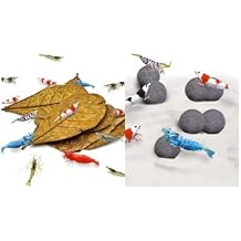 SunGrow Catappa Leaves and Calcium Balls for Shrimps, Water Conditioner for Clear Water, Improves Overall Well-Being, Vibrant Colors, Stronger Exoskeleton, 10 Pcs Each