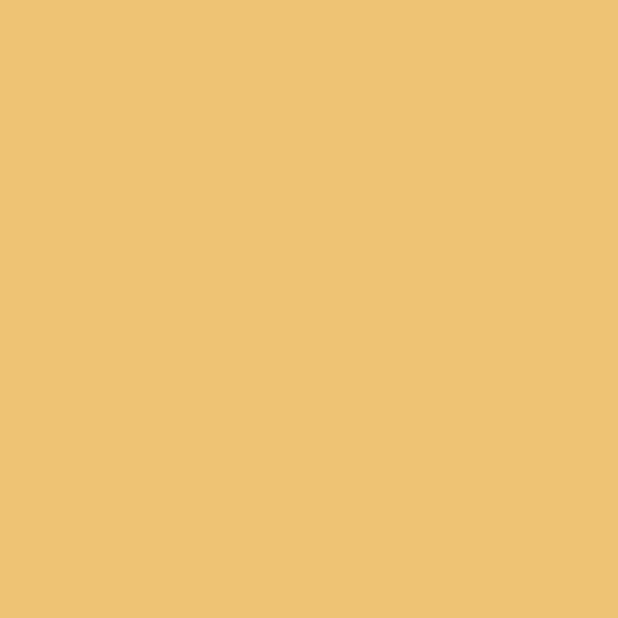 Pantone TPG 8.5X11 Sheet 13-0932 Cornsilk