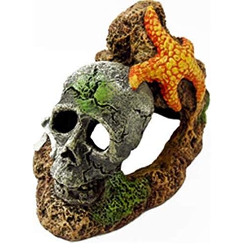 Blue Ribbon PET Products 006052 Exotic Environments Skull with Starfish