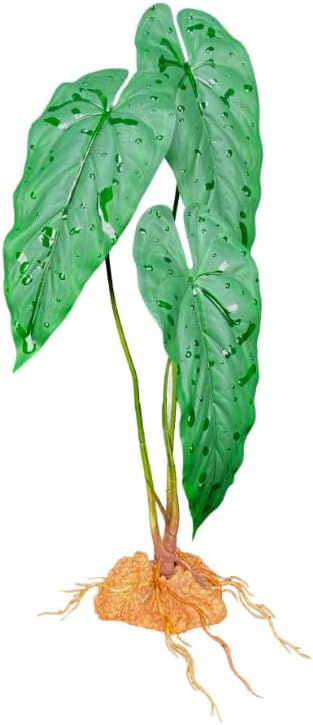 Komodo Standing Plant Emerald Vine 18 IN