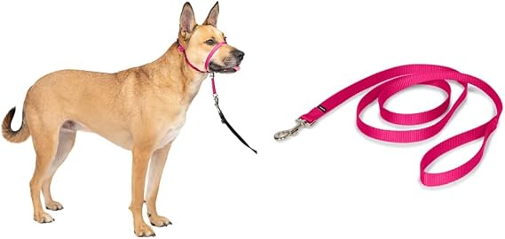 PetSafe Gentle Leader Headcollar, No-Pull Dog Collar, Raspberry Pink & Nylon Dog Leash - Strong, Durable, Traditional Style Leash with Easy to Use Bolt Snap - 3/4" x 6', Raspberry Pink