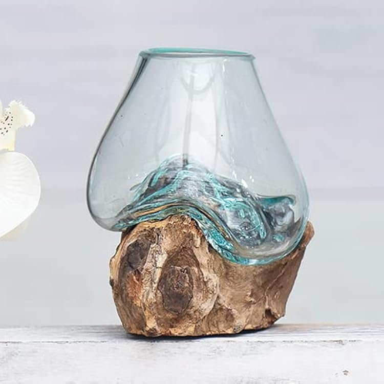 BLACK FOREST DECOR Organic Blown Glass & Root Bowl Small Hand-Blown Glass on Natural Wood Root, One-of-a-Kind Accent, Approx. 5 W x 4 D x 5 H