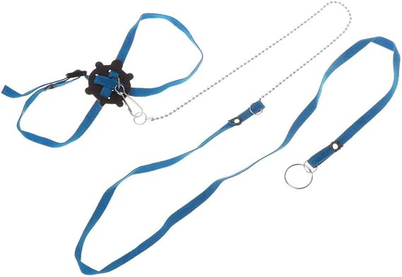 Hypeety Bearded Dragon Harness and Leash Set Adjustable Reptile Lizard Leash for Iguana Small Pets Escape-Proof Walking Gear with Safety Lock Pet Carrier Accessories (Blue)