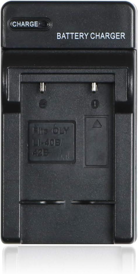 Rainy King NP-80 NP80 Battery Charger for Casio Exilim EX-G1, EX-H5, EX-H50, EX-H60, EX-JE10, EX-N1, EX-N5, EX-N10, EX-N20 (only for casio np80)