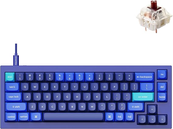 Keychron Q2 Wired Custom Mechanical Keyboard, QMK/VIA Programmable Macro, Full Aluminum, Hot-Swappable Gateron G Pro Brown Switch, 65% Layout Double Gasket Compatible with Mac and Windows - Blue