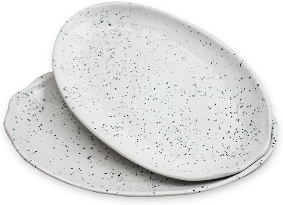roro Ceramic Stoneware Handmade Glossy Speckled Spotted Oval White Dinner Plates set of 2, for dining and serving