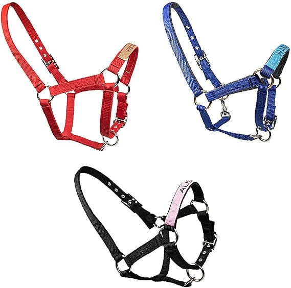 BYFDIY Custom Name Horse Halter Nylon Personalized Embroidered Horse Halter