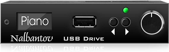 Floppy Drive USB Emulator Nalbantov N-Drive eXtreme | for Casio FZ-1, FZ-10M + sounds