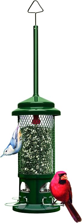 Squirrel Buster Standard Squirrel-proof Bird Feeder w/4 Metal Perches, 1.3-pound Seed Capacity, garden green | Four metal perches, weight-triggered closure, chew-proof design, easy cleaning