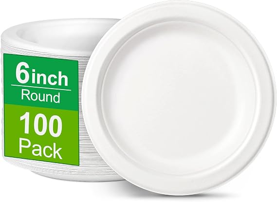 Disposable Paper Plates 6 inch, Small Paper Plates 100 Pack, White