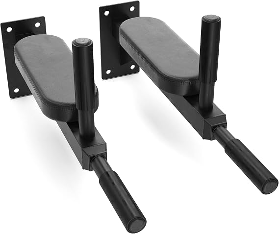 Synergee Wall Mounted Dip Station 400 lb Capacity Dip Bars