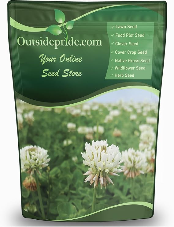 Outsidepride Perennial White Dutch Clover Seed - 1 lbs. Nitrocoated, Inoculated Clover Seeds for Lawn Alternative, Erosion Control, Food Plots, Ground Cover, Pasture Mixtures in USDA Zones 3-10