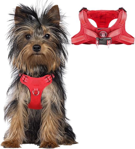BARKBAY Small Dog Harness,No Pull Puppy Harness,Step-in Dog Vest