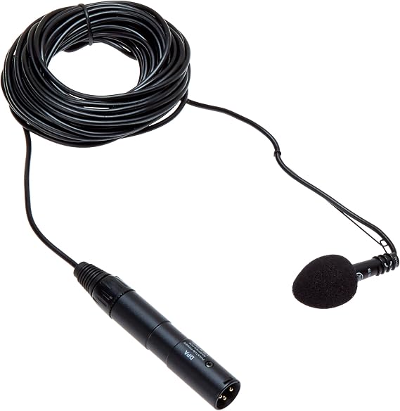 AKG Pro Audio CHM99 Hanging Cardioid Condenser Microphone for Speech or Music in House of Workship, Conference Room and Theater Stages - Black (2965H00150)