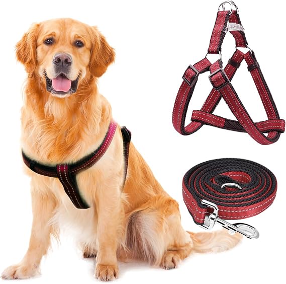 Reflective Red No-Pull Dog Harness and Leash Set for Small Dogs | Quick-release buckle, adjustable step-in design and double D-rings for walking, running and training