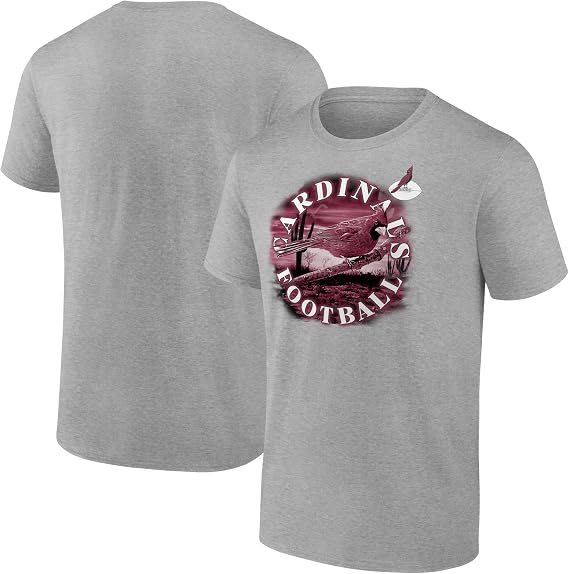 Fanatics Men's NFL Big & Tall Circular Logo & Statement T-Shirt - Short Sleeve - All 32 Teams - Officially Licensed