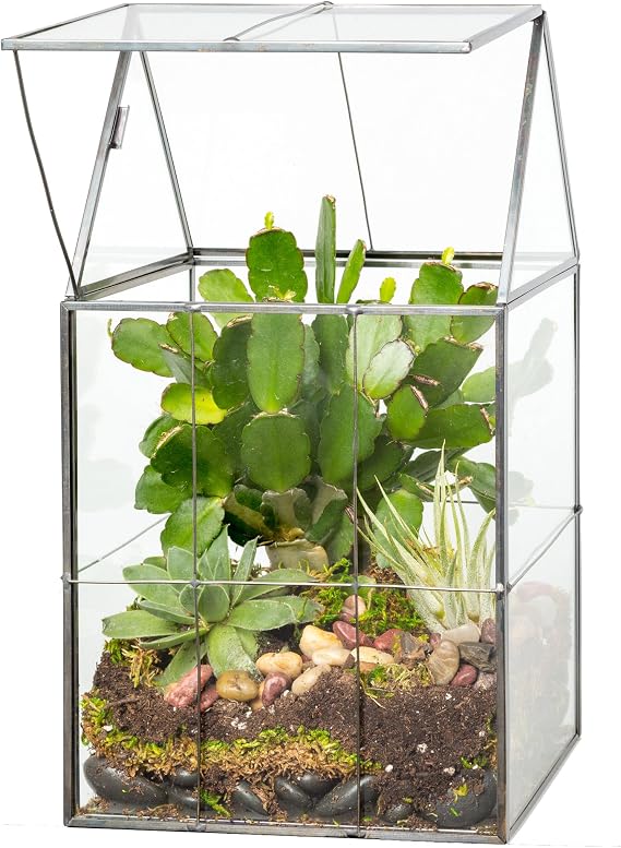 D'Eco Large Glass Plant Terrarium, Centerpiece & Wedding Letterbox Display