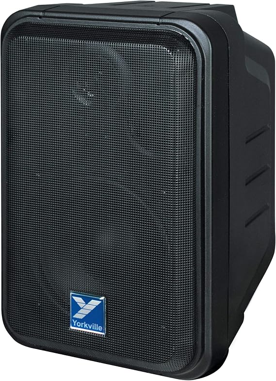 Yorkville C120 100w Passive Speaker With 5" Tweeter