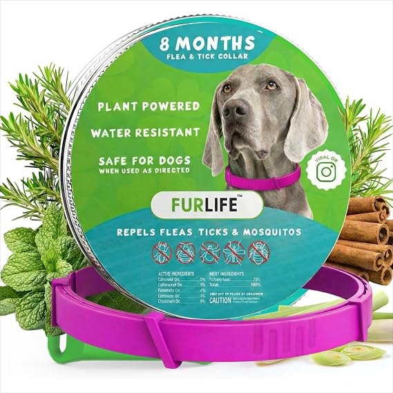 FurLife Flea and Tick Collar for Dogs Waterproof Pink Dog Collar, Pet Supplies for Tick and Flea Prevention for Dogs, Safe for All Breeds