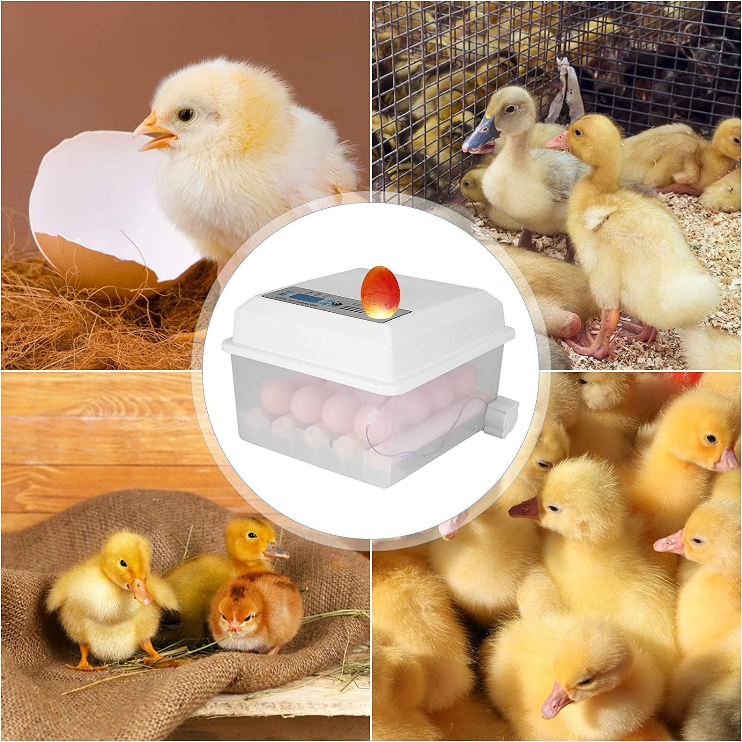 Egg Incubator 16 Pcs Egg Full Automatic Incubator New ABS Poultry Hatcher 15°C-30°C Mini Digital Incubator Cogoose Swirl Chicken Egg Hatcher Machine