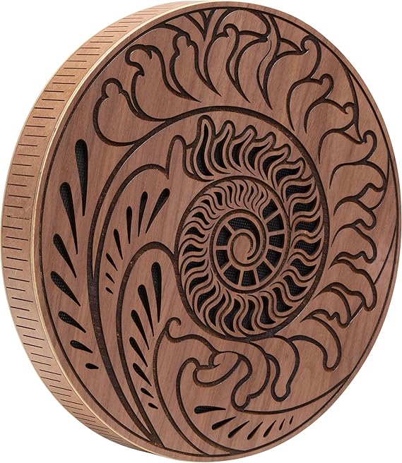 Meinl Sonic Energy Rain Disc, 10" Water and Ocean Sound Effects for Meditation, Yoga, Sound Baths, Music