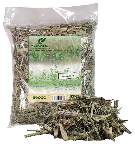 Horsetail Herb Bulk 1 Pound Bag - Shavegrass-COLA DE CABALLO, Scouring Rush